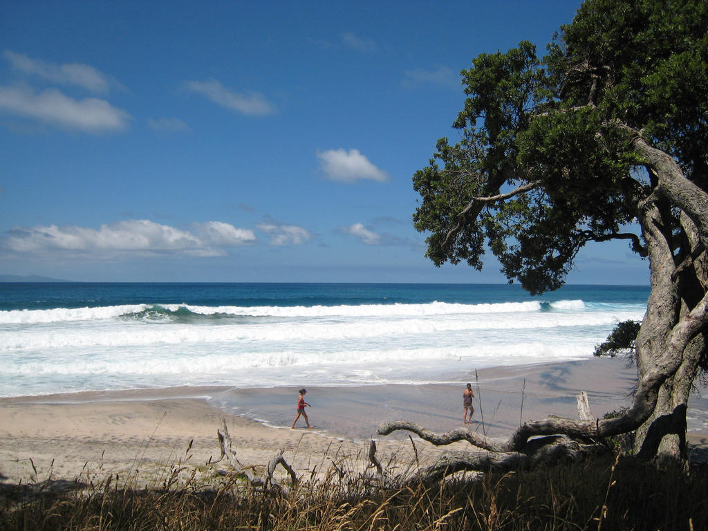 Waihi Beach Lodge Exterior foto